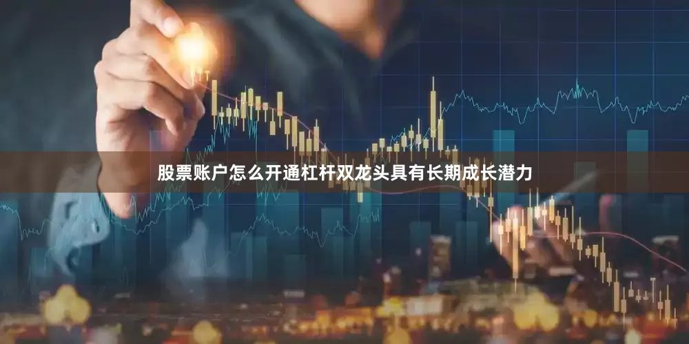 股票账户怎么开通杠杆双龙头具有长期成长潜力