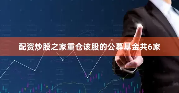 配资炒股之家重仓该股的公募基金共6家