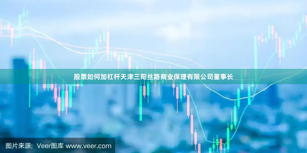 股票如何加杠杆天津三阳丝路商业保理有限公司董事长